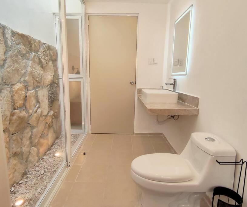 Апартаменты Casa Colibri Con Alberca En El Centro Мерида Экстерьер фото